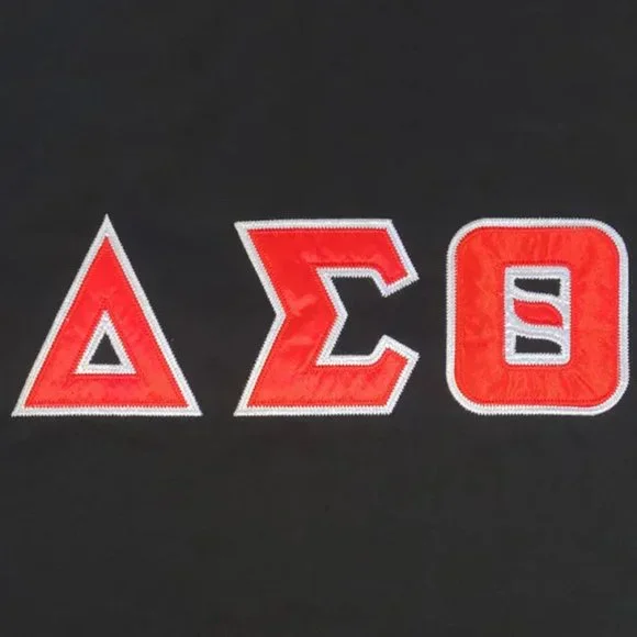 Delta Sigma Theta Ringer T-Shirt Black - Picture 2 of 2